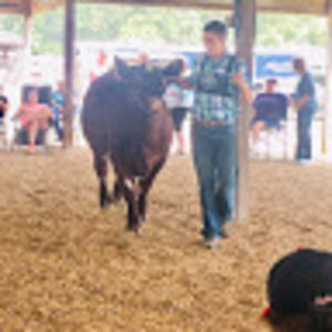 Meet your Posher, Jackson